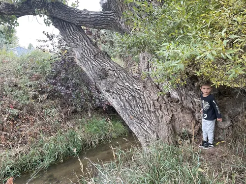 Best Hikes and Trails in Red Fox Meadows Natural Area | AllTrails