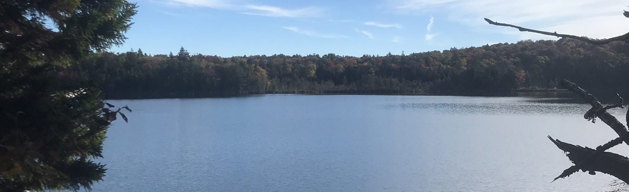 Stratton Pond Trail, Vermont 180 Reviews, Map AllTrails