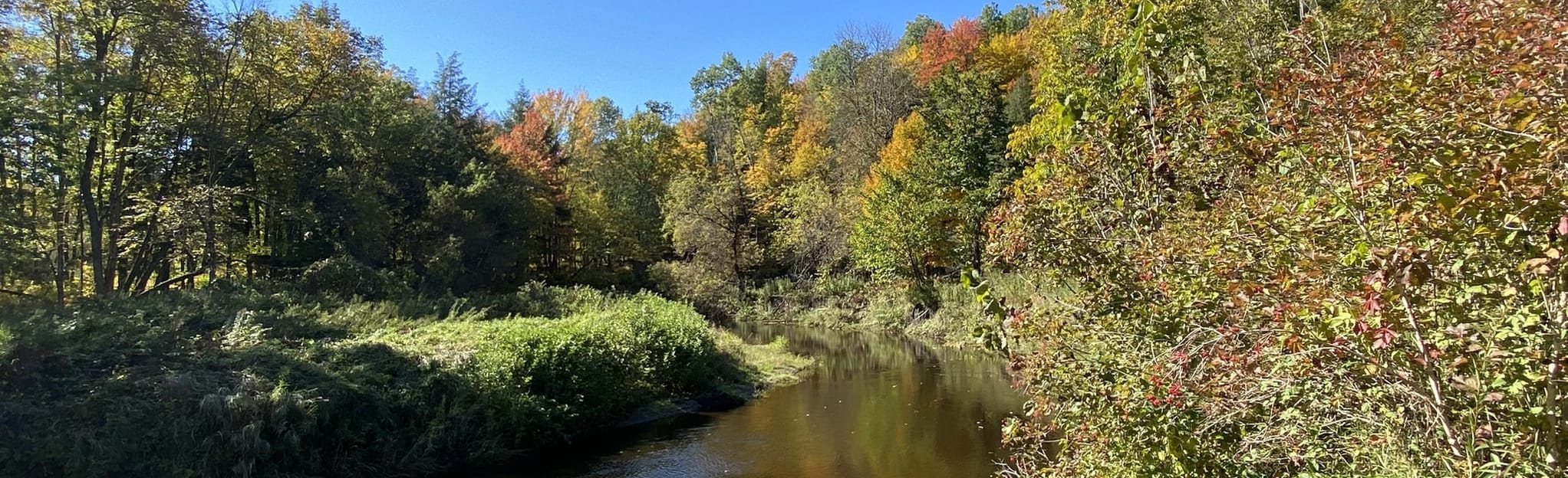 Parc de la Rivière Gentilly 204 Photos Québec, Canada Randonnée
