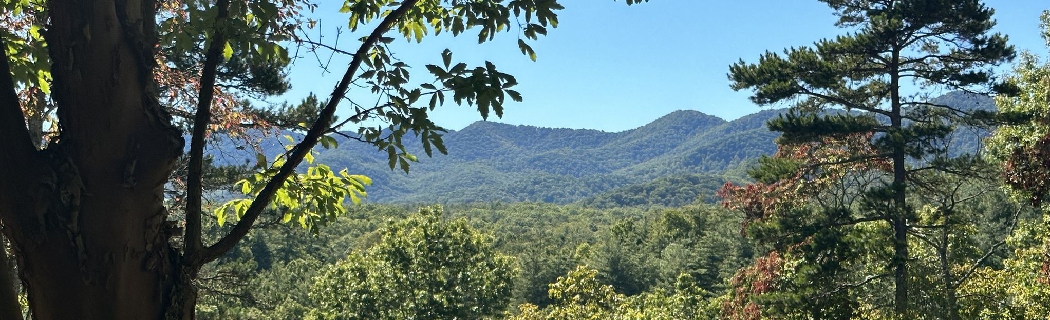 carolina mountain tour schedule