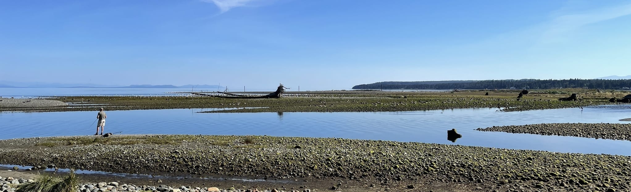 AllTrails Oyster River to Salmon Point via Jack Hames Trail 290