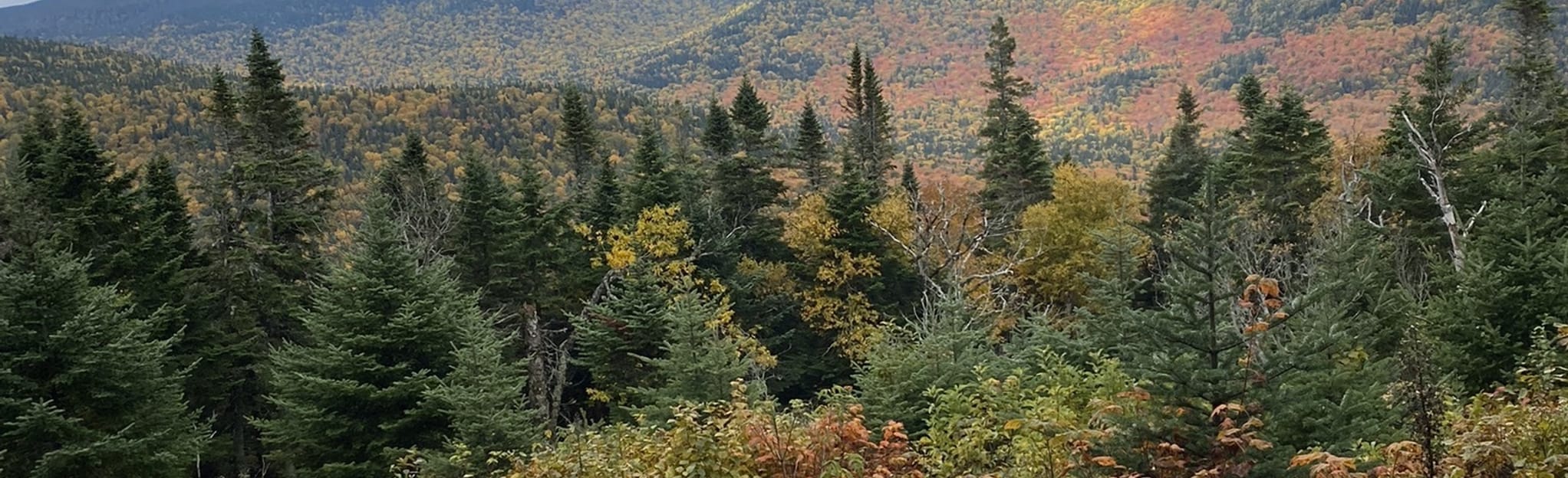 Mount SaintMagloire 275 Fotos Québec, Kanada AllTrails