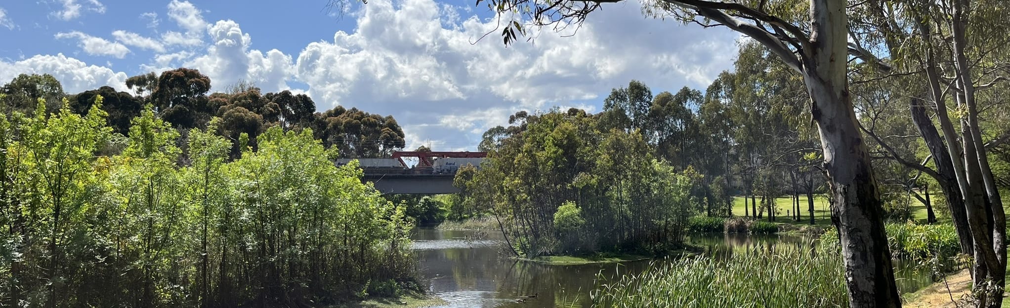 Bloody Long Walk Adelaide 2021 Course 4 Reviews, Map South