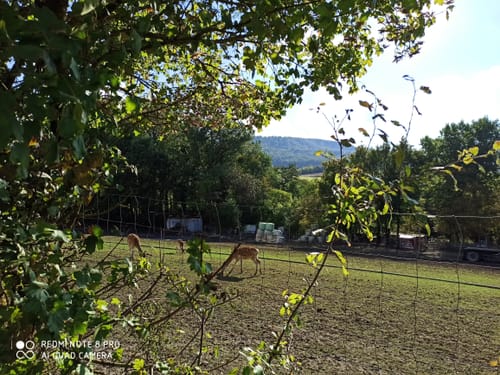 Steigerwald Panoramaweg Etappe 7: Michelau - Eschenau