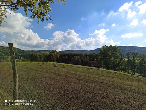 Steigerwald Panoramaweg Etappe 7: Michelau - Eschenau