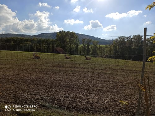 Steigerwald Panoramaweg Etappe 7: Michelau - Eschenau