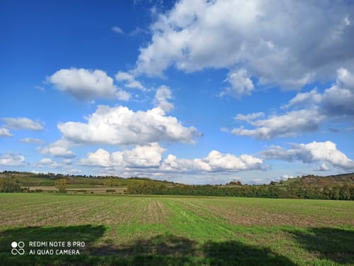 Steigerwald Panoramaweg Etappe 7: Michelau - Eschenau