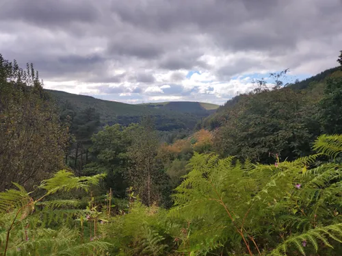 Afan forest outlet camping