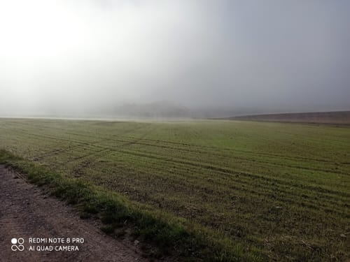 Steigerwald Panoramaweg Etappe 7: Michelau - Eschenau