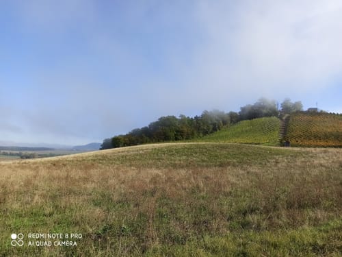 Steigerwald Panoramaweg Etappe 7: Michelau - Eschenau