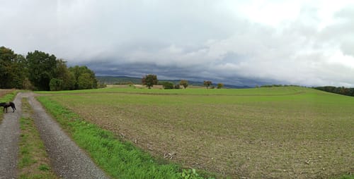 Steigerwald Panoramaweg Etappe 8: Eschenau - Eltmann