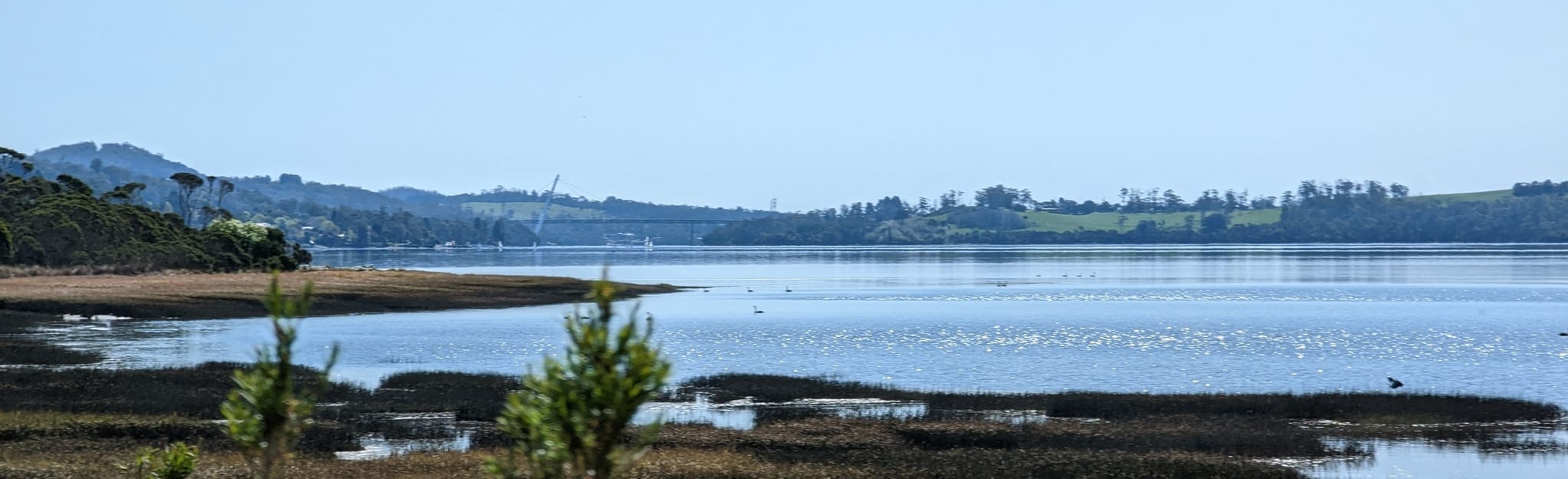 Swan Point Track, Tasmania, Australia 12 Reviews, Map AllTrails