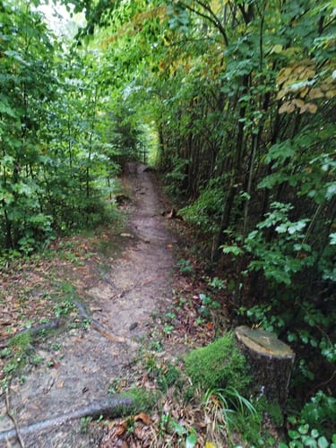 Bergtour Höchsten (Premiumwanderweg)