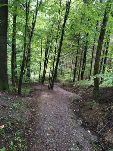 Bergtour Höchsten (Premiumwanderweg)