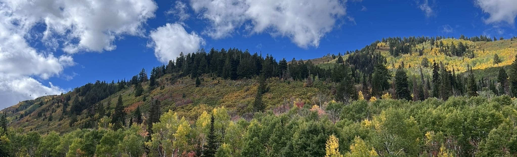 Iron Mountain via Armstrong, MidMountain and Iron Man Trails, Utah