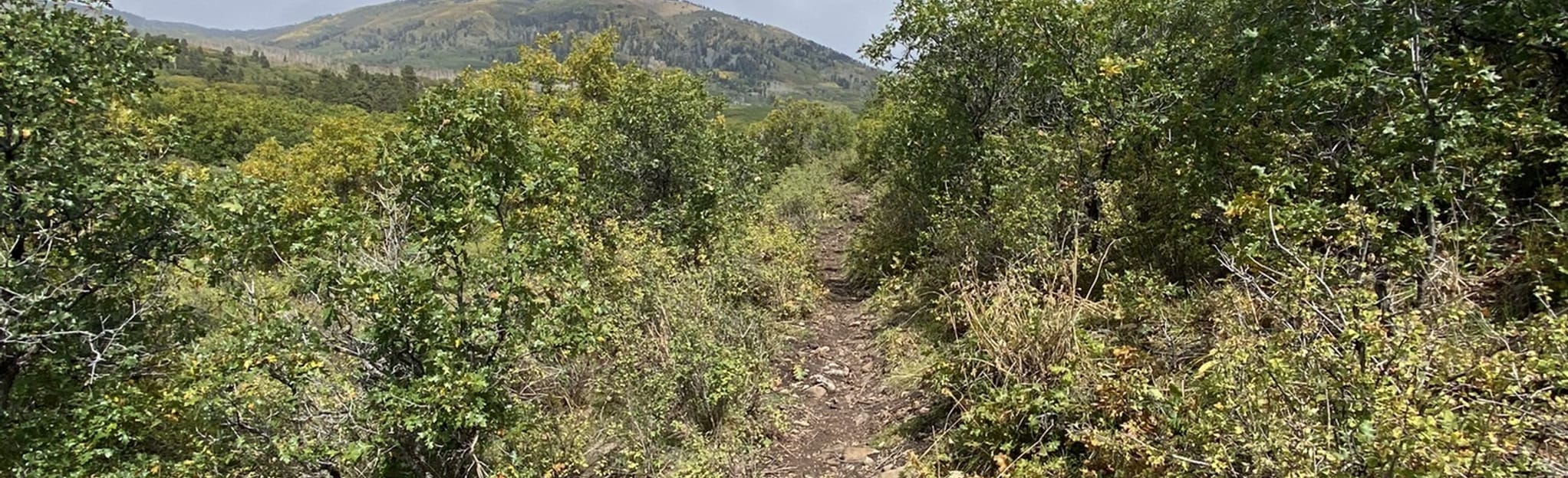 Cherry Creek Loop Trail, Colorado 41 Reviews, Map AllTrails