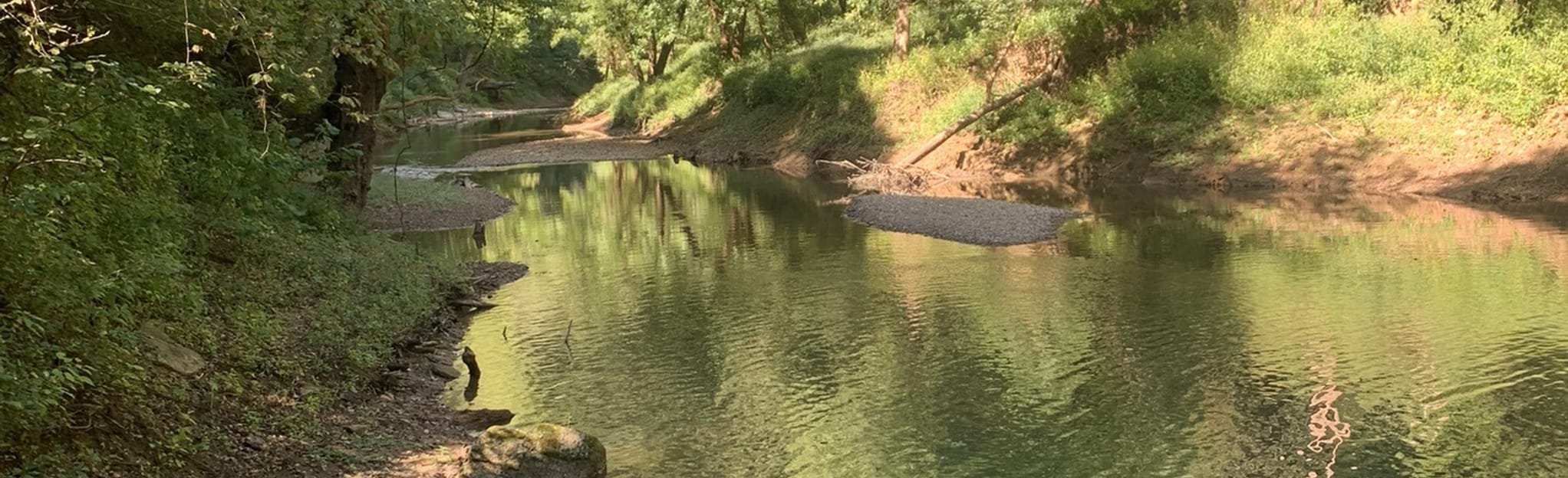 Otter Creek Trail 399 Reviews, Map Kentucky AllTrails