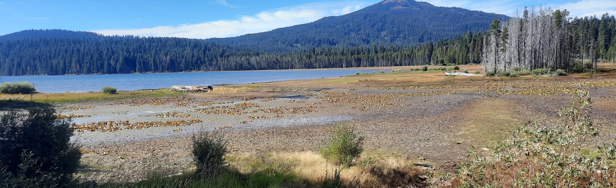 AllTrails High Lakes Trail 79 Reviews, Map Oregon