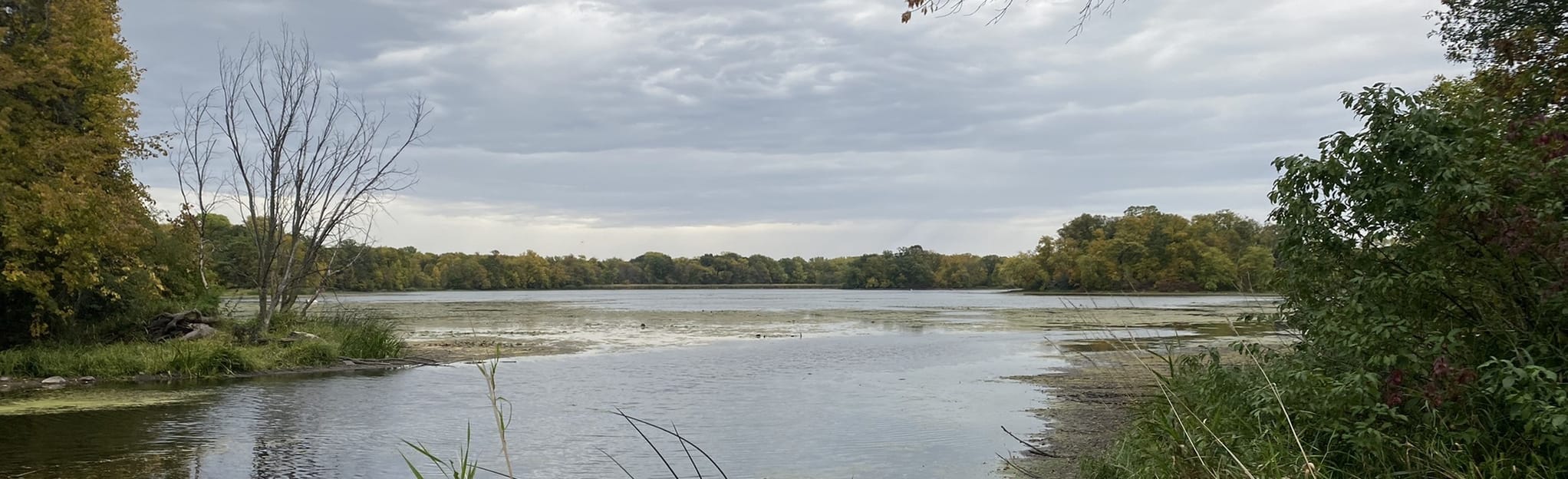 AllTrails Cleary Lake Trail 515 Reviews, Map Minnesota