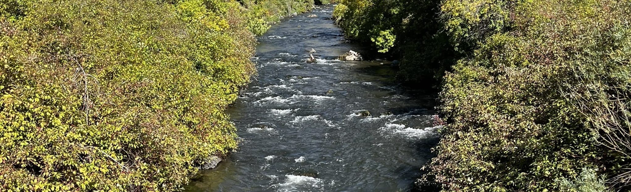 Bridal Veil Falls Trail [CLOSED] 1,602 Reviews, Map Utah AllTrails