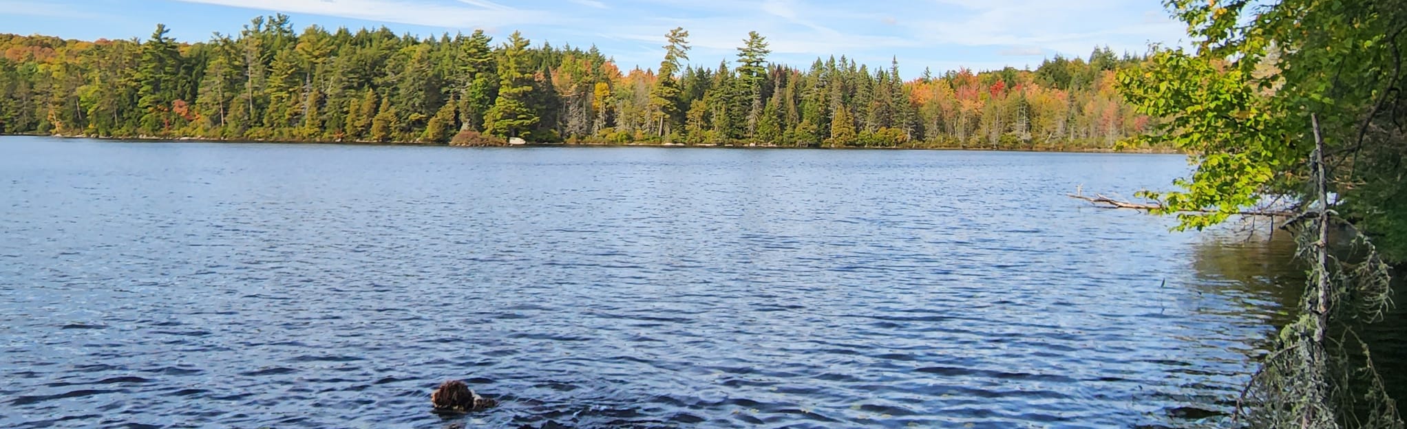 Anstruther Lake Trail via Sucker Lake Trail, Ontario, Canada 8