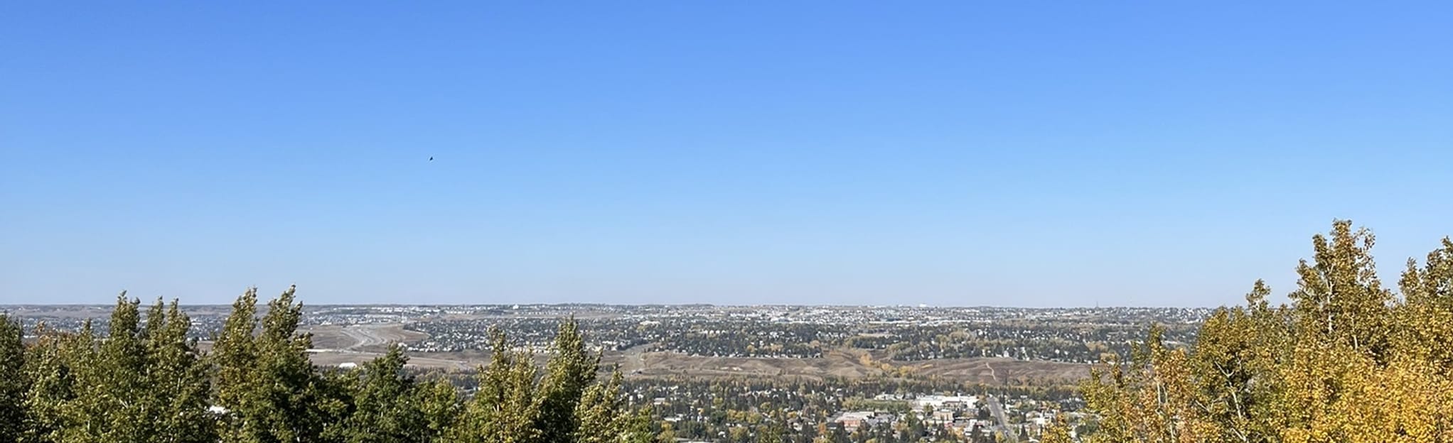 Paskapoo Slopes From Cougar Ridge 568 Reviews, Map Alberta, Canada