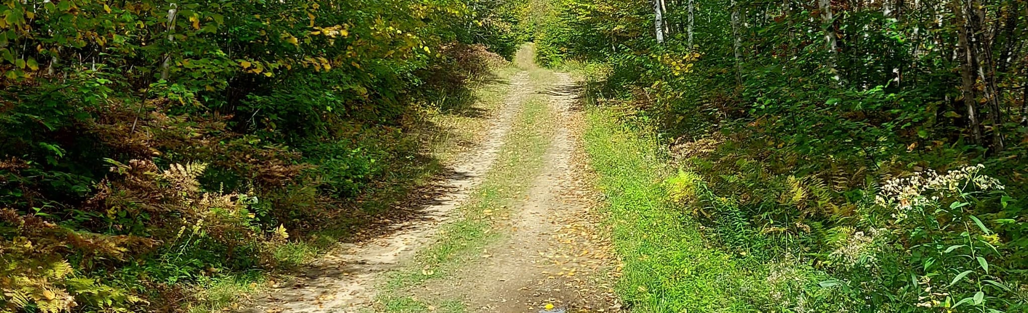 Killarney Lake Footpath 7 48 Reviews, Map New Brunswick, Canada
