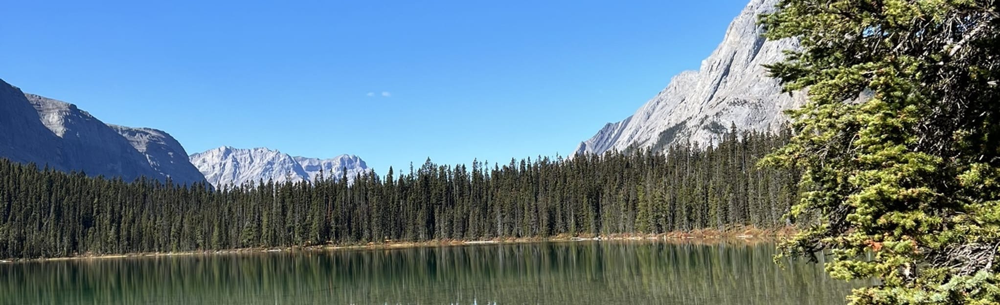 Mount Shark: 51 Reviews, Map - Alberta, Canada | AllTrails