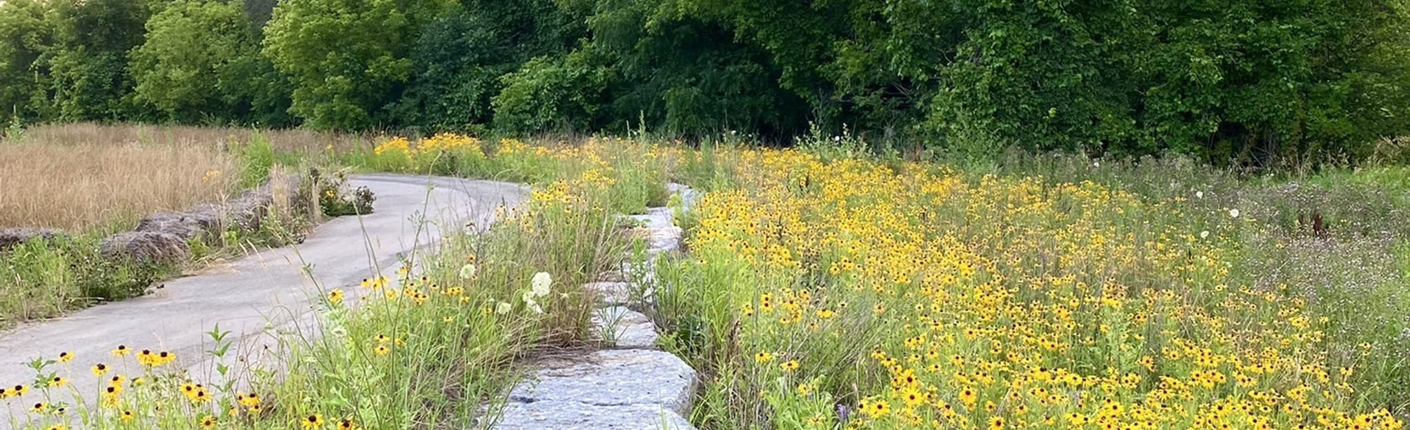 Kleinburg Summit Loop, Ontario, Canada 20 Reviews, Map AllTrails