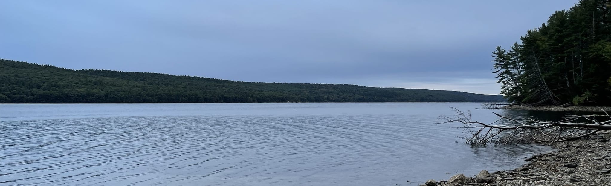 Quabbin Reservoir Gate 11, Massachusetts - 94 Reviews, Map | AllTrails