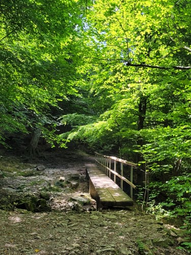 Zum Neidlinger Wasserfall und der Ruine Reußenstein