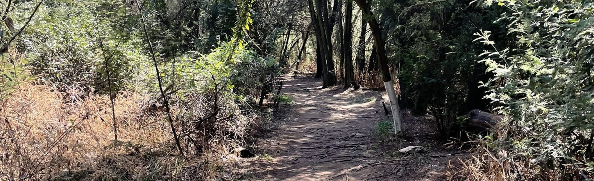 Rietvlei Zoo Farm, Gauteng, South Africa 80 Reviews, Map AllTrails