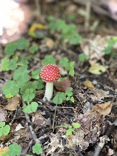 Runde in den Fröruper Bergen
