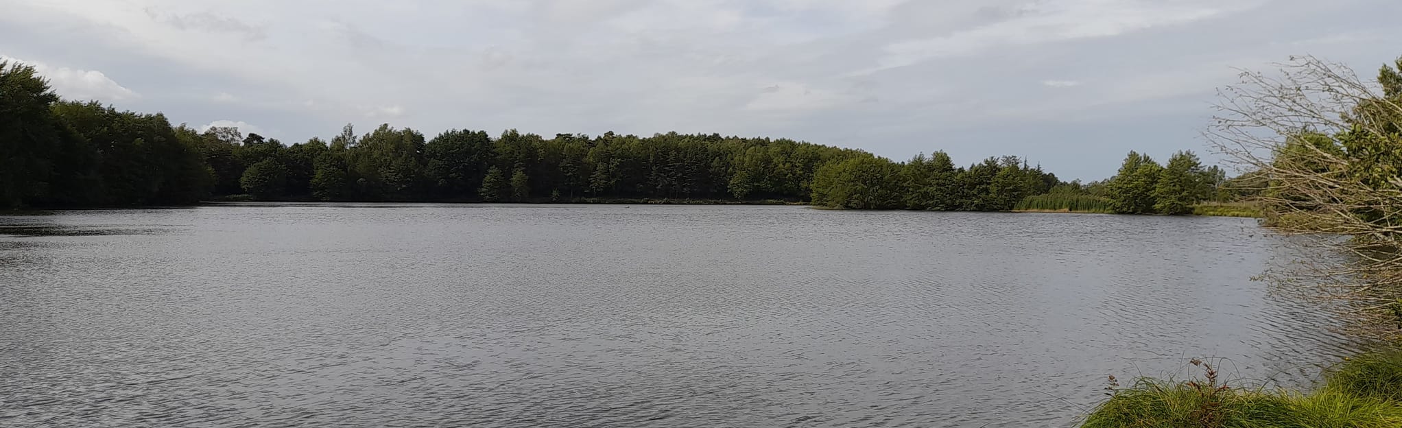 Tour of Lake SaintGervais 10 Reviews, Map Aveyron, France AllTrails