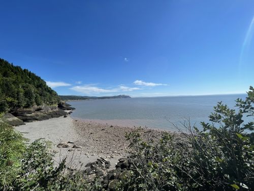 are dogs allowed in fundy national park