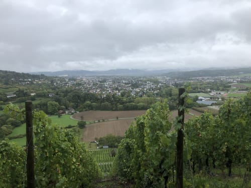 Mühlen an Lieser und Salm (Erlebnisschleife)