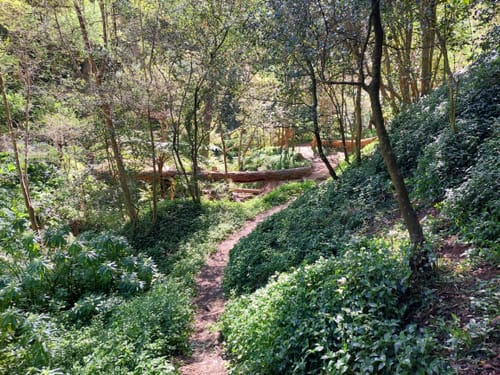 Best Hikes and Trails in De Hel Nature Area | AllTrails