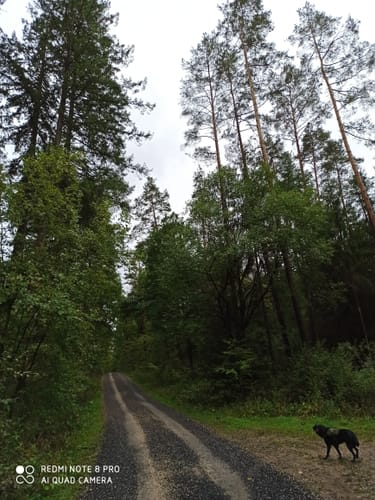 Steigerwald Panoramaweg Etappe 9: Eltmann - Bamberg