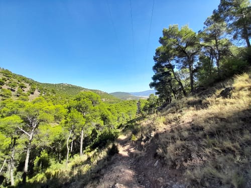 2023 Beste Routen in der Umgebung von Pico de Moriana AllTrails