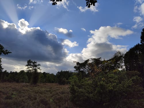 Rund um die Heideflächen mittleres Lüßplateau