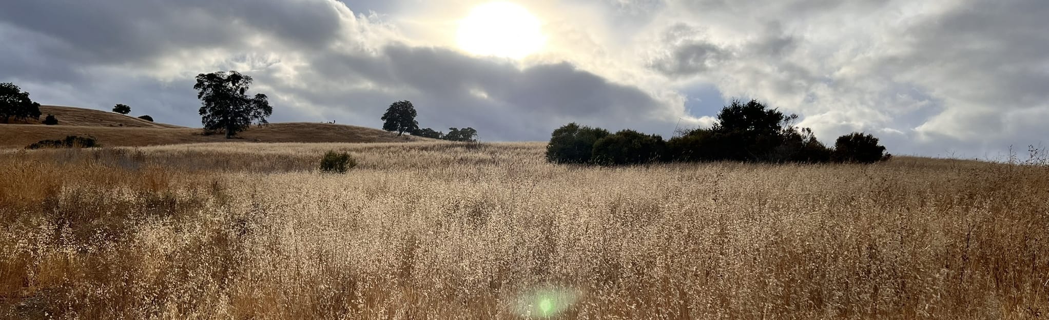 Madera Point and Bobcat Point via the Arastradero Creek and Coyote ...