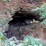 Sand Cave Trail, Kentucky - 256 Reviews, Map | AllTrails