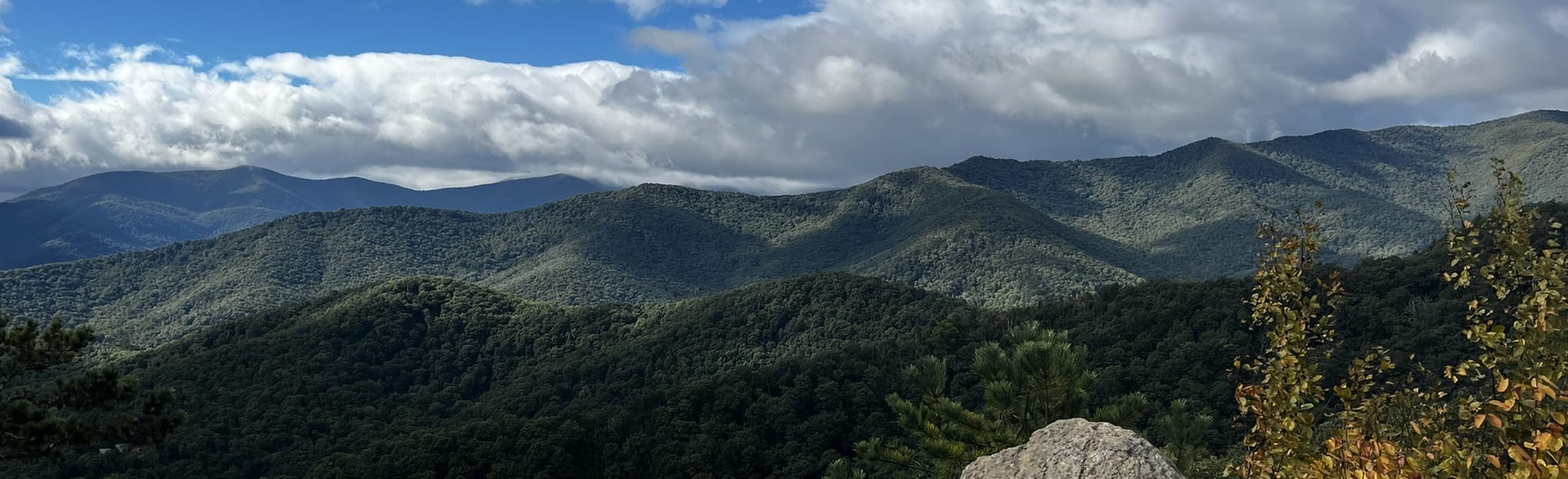 Rattlesnake Mountain 971 Reviews, Map North Carolina AllTrails