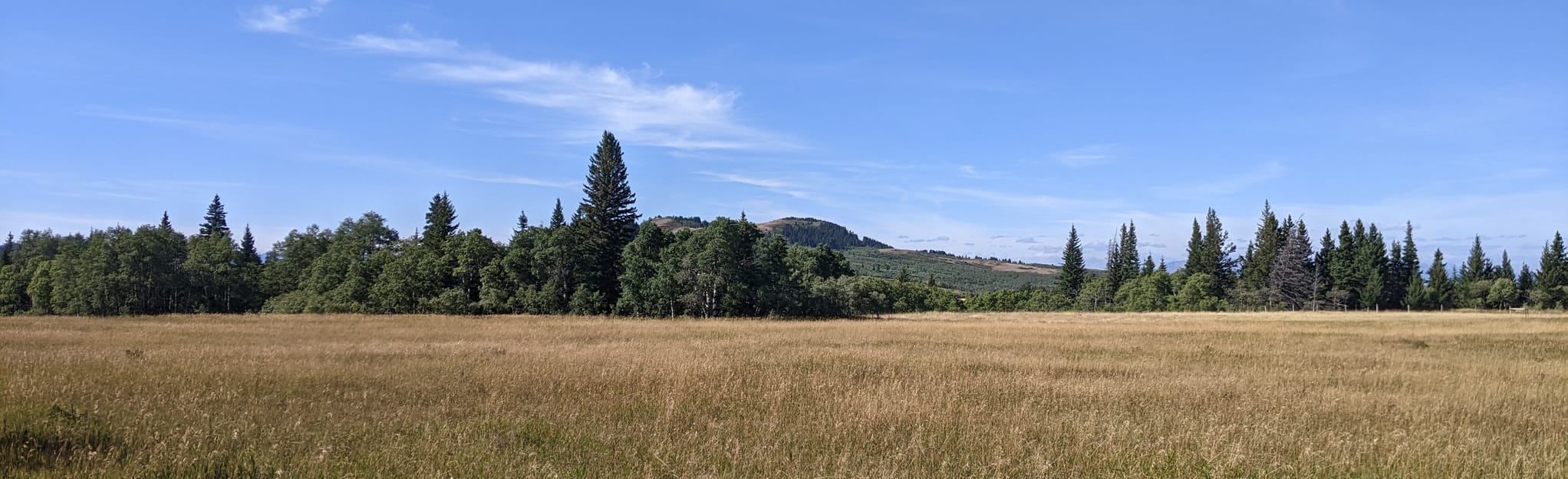 Homestead Loop Trail, Alberta, Canada - 33 Reviews, Map | AllTrails