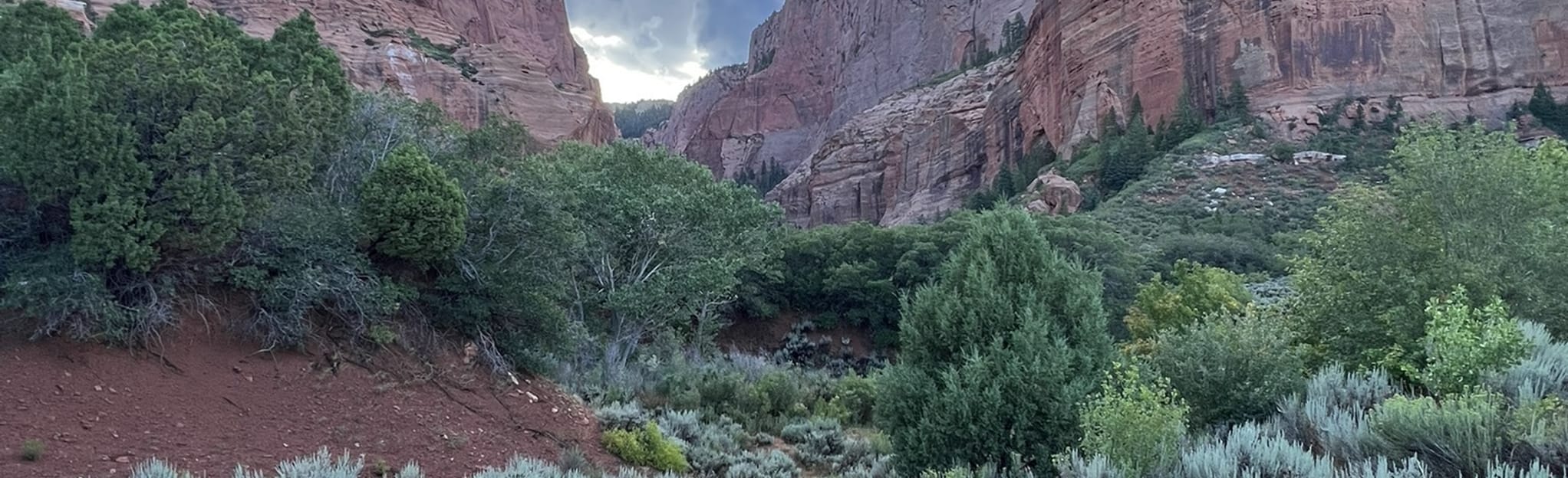 South Fork Taylor Creek Trail 468 Reviews, Map Utah AllTrails