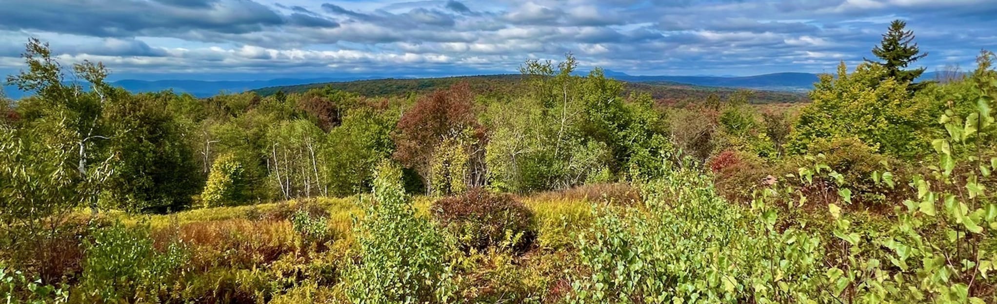 Appalachian Trail to Warner Hill - EyJidWNrZXQiOiJhc3NldHMuYWxsdHJhaWxzLmNvbSIsImtleSI6InVwbG9hZHMvcGhvdG8vaW1hZ2UvNTI3MDI2OTEvMTMyZDk3OTVkN2Q5NjA1ZDQ0MjMzZWVmODQyOTVjMTYuanBnIiwiZWRpdHMiOnsidG9Gb3JtYXQiOiJqcGVnIiwicmVzaXplIjp7IndpZHRoIjoyMDQ0LCJoZWlnaHQiOjYyNCwiZml0IjoiY292ZXIifSwicm90YXRlIjpudWxsLCJqcGVnIjp7InRyZWxsaXNRdWFudGlzYXRpb24iOnRydWUsIm92ZXJzaG9vdERlcmluZ2luZyI6dHJ1ZSwib3B0aW1pc2VTY2FucyI6dHJ1ZSwicXVhbnRpc2F0aW9uVGFibGUiOjN9fX0=