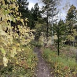 Devil's Glen - Dearborn 206, Montana - 269 Reviews, Map | AllTrails
