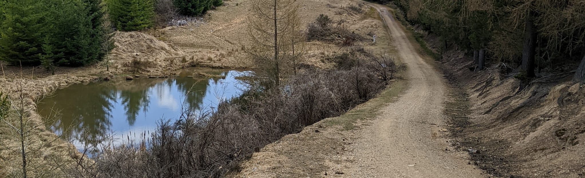 Naseby Forest Recreation Area Loop Track 10 Reviews, Map Otago, New