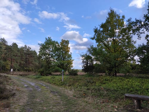 Rund um die Heideflächen mittleres Lüßplateau