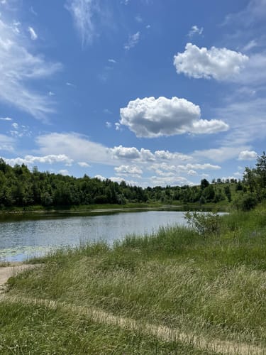 Forks of the online credit provincial park